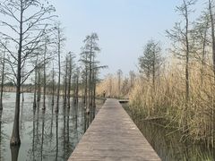 -九里湖国家湿地公园