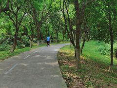-燕晗山郊野公园