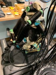 -东方麒麟·潘多拉SALON