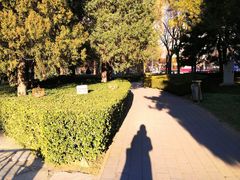 -元大都城垣遗址公园