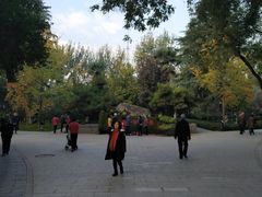 -莲湖公园