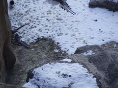 -狼牙山风景区