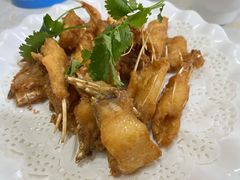 -源港渔村-中山脆肉鲩(博罗店)
