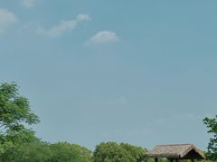-良渚古城遗址公园