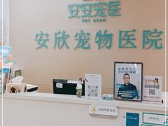 -安安宠医安欣宠物医院