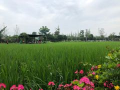 -洪湖家庭农场·团建·露营·会议