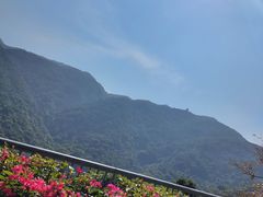 -梧桐山风景名胜区