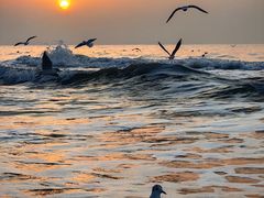 -老虎石海上公园