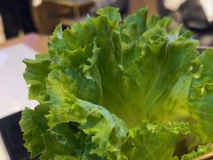 -杨记齐齐哈尔烤肉(总店)