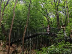 -宝岩生态观光园