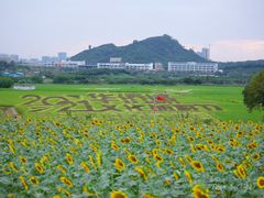 -光明小镇欢乐田园