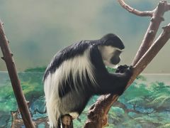 -石家庄市动物园