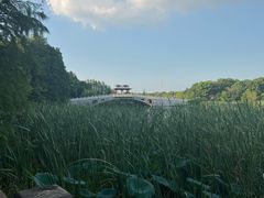-东湖落雁景区