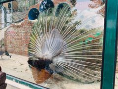 -北京鹿世界主题园