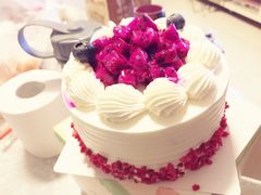 -幸福鸟动物奶油生日蛋糕(军校店)