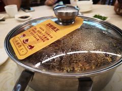 -百利鸽王(紫薇路店)