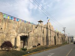 -龙大花卉苗木市场