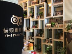-猫头鹰照相馆(福田店)