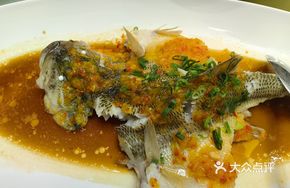 Yellow Pepper Sauce Steamed Sea Bass