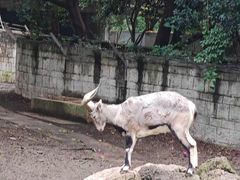 -泉州海丝野生动物世界