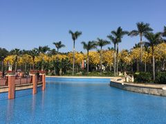 -仙湖旅游度假区