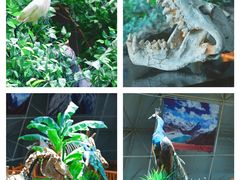 -中国第四纪冰川遗迹陈列馆