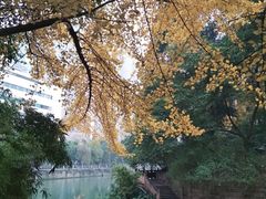 -成都市活水公园