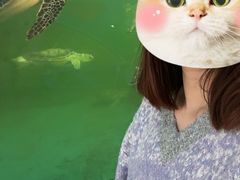 -广东惠东海龟国家级自然保护区