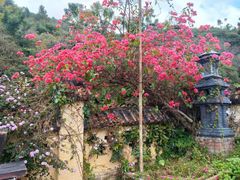 -广东天露山旅游度假区