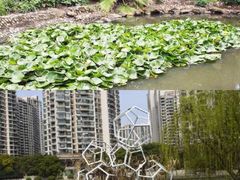 -苏州河梦清园环保主题公园