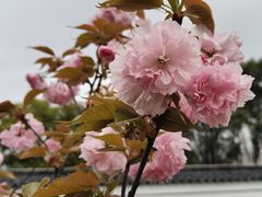 -长广溪湿地公园