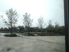 -南通滨江洲际酒店-东厨中餐厅