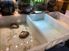 -十八字金·银饰·拼豆·开蚌DIY(魏公芳华里店)