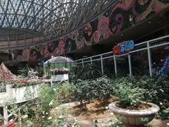 -花之城