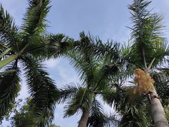 -筼筜书院