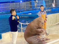 -泉城欧乐堡海洋极地世界