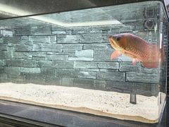 -星巴克(北京西大望路温特莱店)