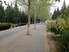 -东升八家郊野公园