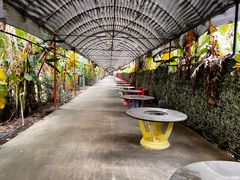 -天下先生态园农庄CS团建露营地(海鸥岛店)