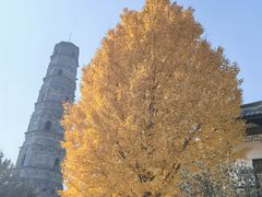 -上海青龙寺