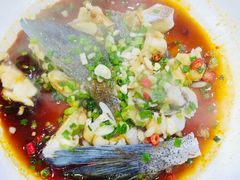 -全乐鱼馆·淳牌有机鱼直营店