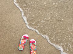 -西涌国际滨海旅游区