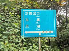 -广州市帽峰山景区
