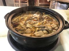 -七采菌园·石锅鱼野生菌火锅(环城北路店)