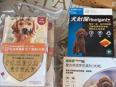 -美联众合爱康动物医院•复杂内科•肿瘤科•牙科•腔镜诊疗中心