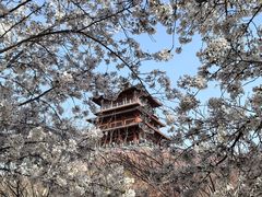 -古柏渡飞黄旅游区