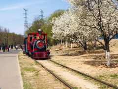 -永定河休闲森林公园