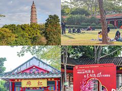 -顺峰山公园