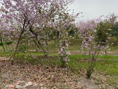 -荔湾区儿童公园