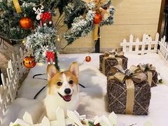 -G+KITCHEN(龙湖狮山天街店)